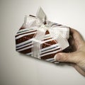 Hand holding a Wrapped Gift Royalty Free Stock Photo