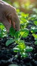 Hand Reaching for Plant in Garden