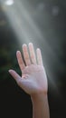 A hand reaching up to the sun, AI Royalty Free Stock Photo