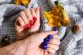 Hand with blue and red nails on sweater autumn cozy background. Female manicure. glamorous beautiful manicure. Winter or autumn Royalty Free Stock Photo