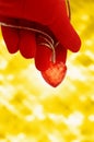 Hand in a red glove holding a heart on an abstract gold background. Image Royalty Free Stock Photo