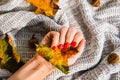 Hand with red nails on sweater autumn cozy background. Female manicure. glamorous beautiful manicure. Winter or autumn manicure in Royalty Free Stock Photo