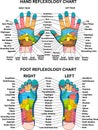 hand Foot Reflexology Chart, Planter, Dorsal, Medial & Lateral Map colorful