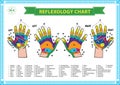 Hand reflexology chart