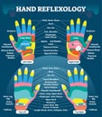 Hand reflexology massage therapy medical vector illustration chart. Human well being system. Inner organs and glands diagram.