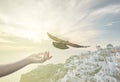 Hand releasing pigeon bird free, sunset Santorini Oia Greece. Hope and freedom concept