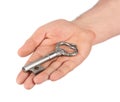 Hand with retro silver key Royalty Free Stock Photo