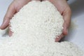 Hand with Rice Royalty Free Stock Photo