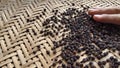 Hand rolling the peppercorns. Close up of dry black pepper on weaven bowl