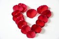 Rose petals arranged in a heart shape on a white background Royalty Free Stock Photo