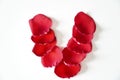 Rose petals arranged in letters on a white background. Royalty Free Stock Photo