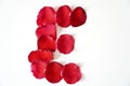 Rose petals arranged in letters on a white background. Royalty Free Stock Photo