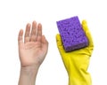 Hand in rubber glove and hand without protective, safe cleaning concept, isolaetd on a white background Royalty Free Stock Photo