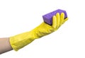 Hand in rubber glove hold sponge, kitchen cleaning concept, isolated on a white background Royalty Free Stock Photo