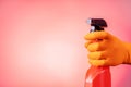 Hand in rubber glove holding plastic spray bottle with cleaning detergent Royalty Free Stock Photo