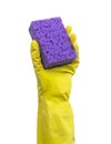 Hand in rubber glove with the kitchen sponge isolated on a white background Royalty Free Stock Photo