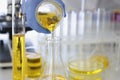 Hand in rubber glove pours yellow liquid into flask in chemical laboratory closeup