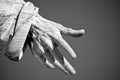 The hand of the Saints Peter in Rome Royalty Free Stock Photo