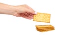 Hand with salty cracker, crispy appetizer, rectangle shape cookie. Isolated