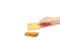 Hand with salty cracker, crispy appetizer, rectangle shape cookie. Isolated