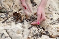 Hand and Sand Royalty Free Stock Photo