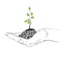 Hand and sapling