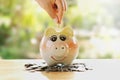 Hand save piggy bank and stack money growing Royalty Free Stock Photo