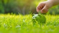 Hand saving a coin in a green piggy bank on sunny grass. Concept of eco-friendly savings. Simple and clear financial Royalty Free Stock Photo