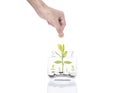 Hand saving money concept,business hand putting money coin stack growing tree on piggy bank