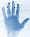 Hand scan Royalty Free Stock Photo