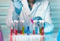 Hand of a scientist pipetting samples in tubes test Royalty Free Stock Photo