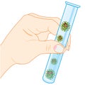 Hand scientist with test tube COVID-19 on white