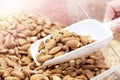 Scoop takes almond nuts in store