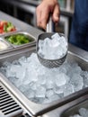 Hand scooping ice cubes from a metal container in a kitchen. Royalty Free Stock Photo