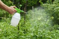 The hand and the scraper are close-up. Spraying plants in the garden and vegetable garden with a protective spray. Protection of Royalty Free Stock Photo