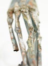 Hand sculpture made out of rusty metal Royalty Free Stock Photo