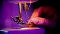 Hand of seamstress puts a thread in the eye of a needle Royalty Free Stock Photo