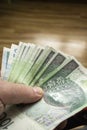 A hand securely holding a Polish banknote for a business transaction. Royalty Free Stock Photo