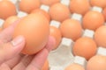 Hand select egg in carton Royalty Free Stock Photo