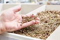 Hand with self-tapping screws in shop Royalty Free Stock Photo