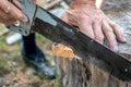 The hand of a senior man is sawing a board with an old hand saw or hacksaw. In the close-up photo, only a part of the saw and the Royalty Free Stock Photo