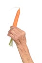 Hand of senior woman and carrot