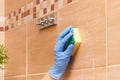 Hand of senior woman cleaning tiles in bathroom using sponge with detergent, household duties concept Royalty Free Stock Photo