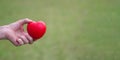Hand of a senior woman holding a red heart shape on the green grass background. Royalty Free Stock Photo