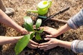 The hand of the senior woman and the hand of young women are helping each other to plant trees, World environment day, concept of Royalty Free Stock Photo