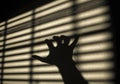 Hand shadow Royalty Free Stock Photo