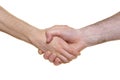 Hand shake Royalty Free Stock Photo