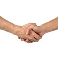 Hand shake on white Royalty Free Stock Photo