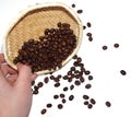 Hand shaking coffee beans wicker basket Royalty Free Stock Photo