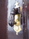 Hand shape brass door knocker Royalty Free Stock Photo